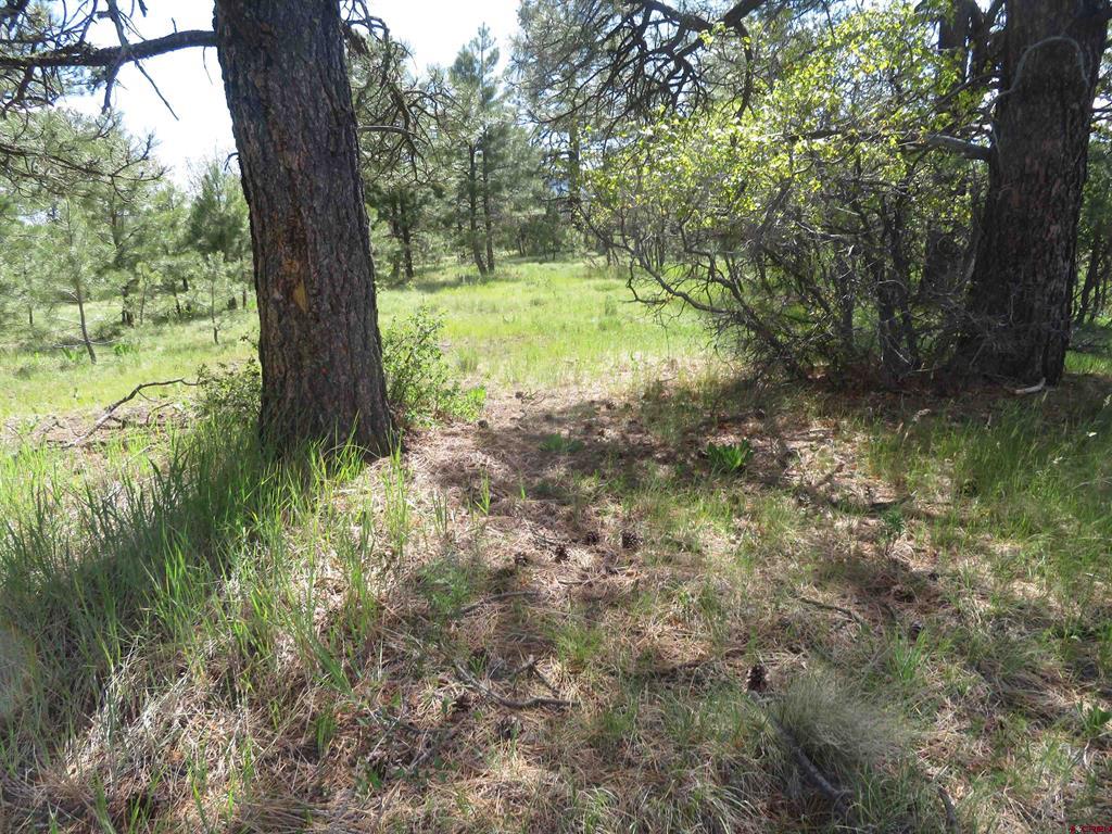 1000 Perry Drive Pagosa Springs CO 81147