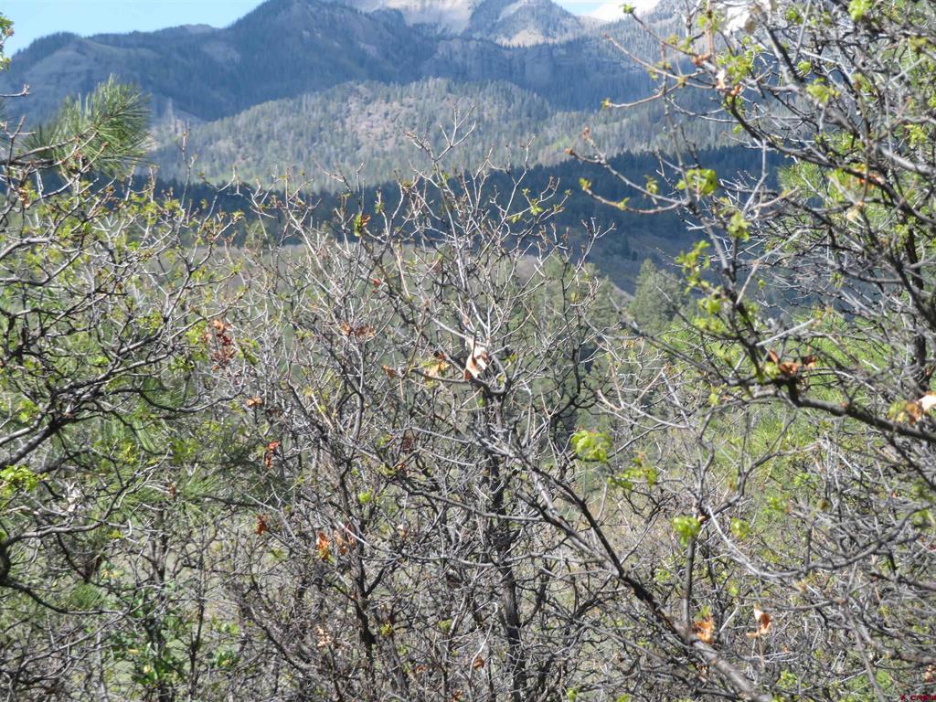 1000 Perry Drive Pagosa Springs CO 81147