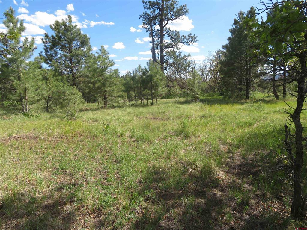 1000 Perry Drive Pagosa Springs CO 81147