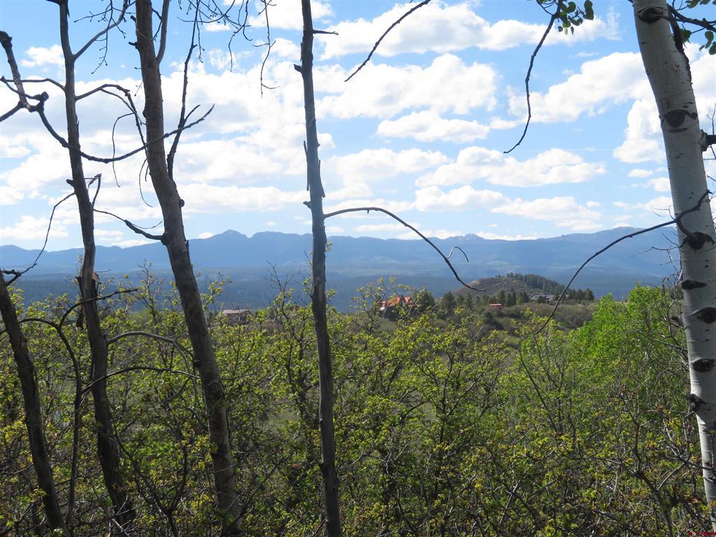 1000 Perry Drive Pagosa Springs CO 81147