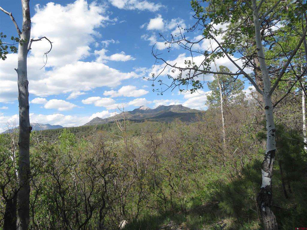 1000 Perry Drive Pagosa Springs CO 81147