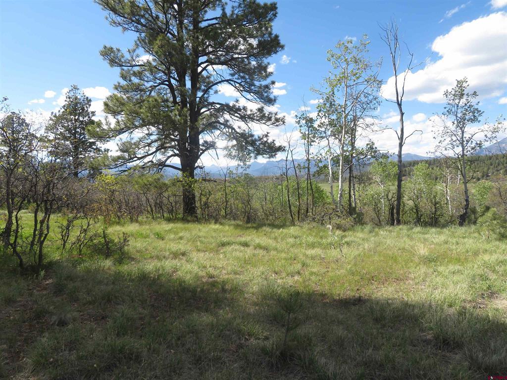 1000 Perry Drive Pagosa Springs CO 81147