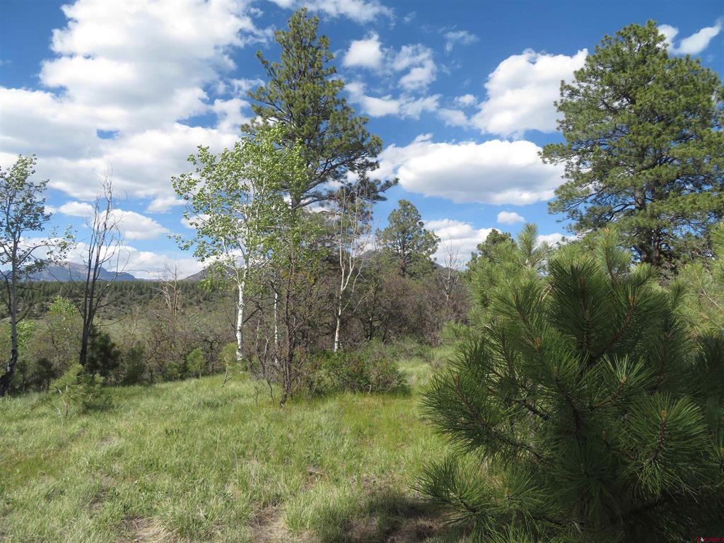 1000 Perry Drive Pagosa Springs CO 81147