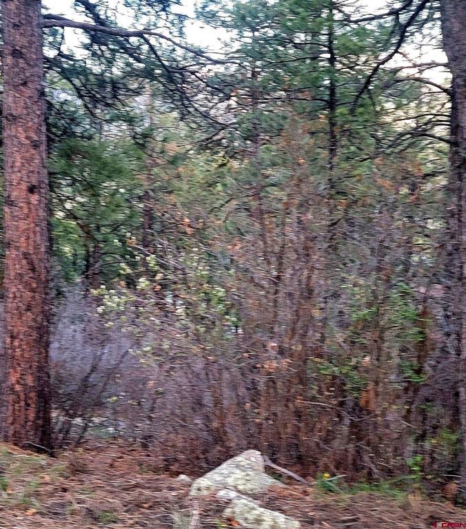 740 Harman Avenue Pagosa Springs CO 81147