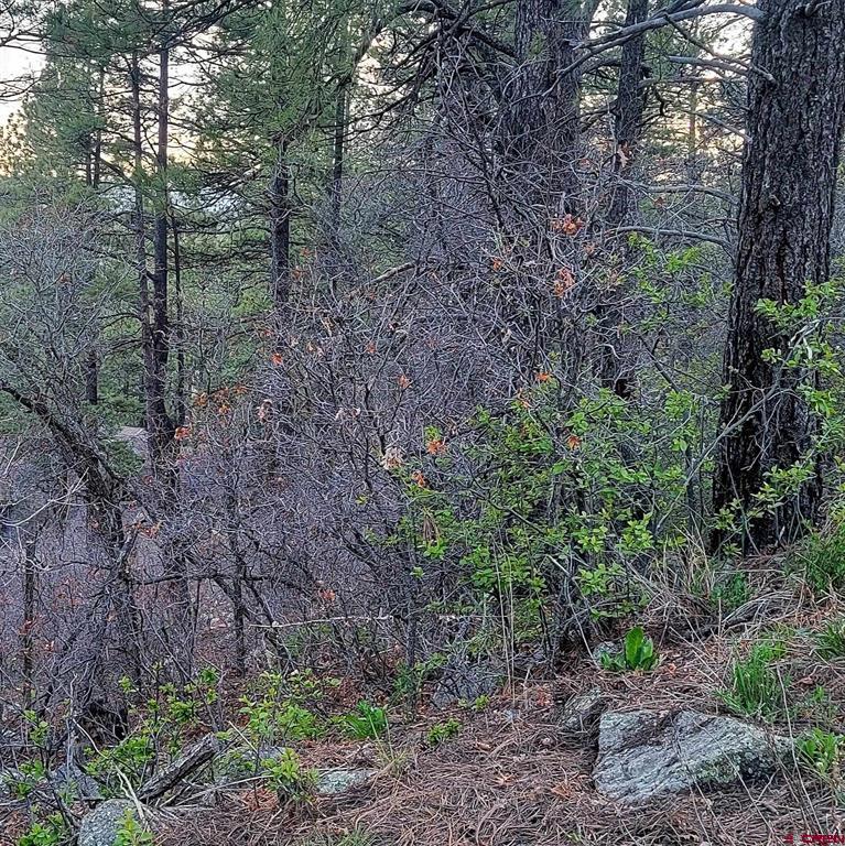 740 Harman Avenue Pagosa Springs CO 81147
