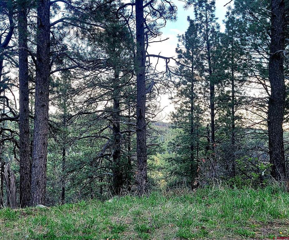 740 Harman Avenue Pagosa Springs CO 81147