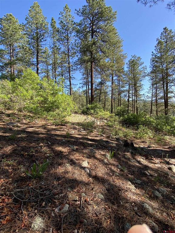 740 Harman Avenue Pagosa Springs CO 81147