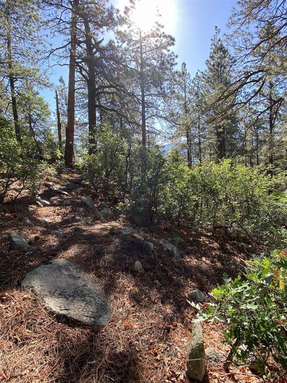 740 Harman Avenue Pagosa Springs CO 81147