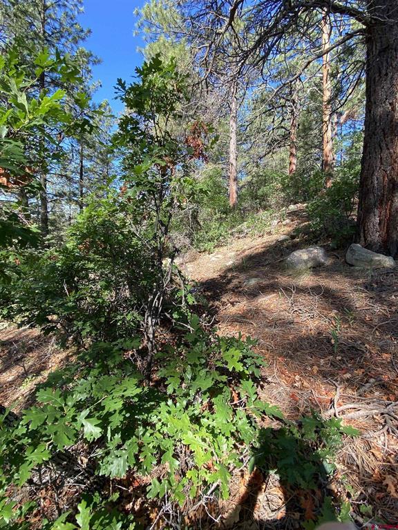 740 Harman Avenue Pagosa Springs CO 81147