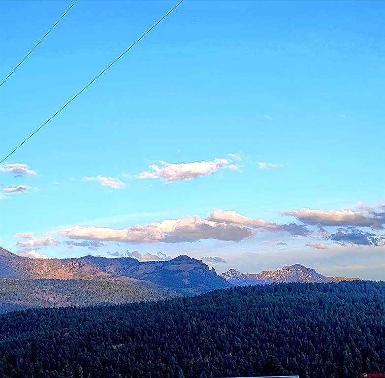 740 Harman Avenue Pagosa Springs CO 81147