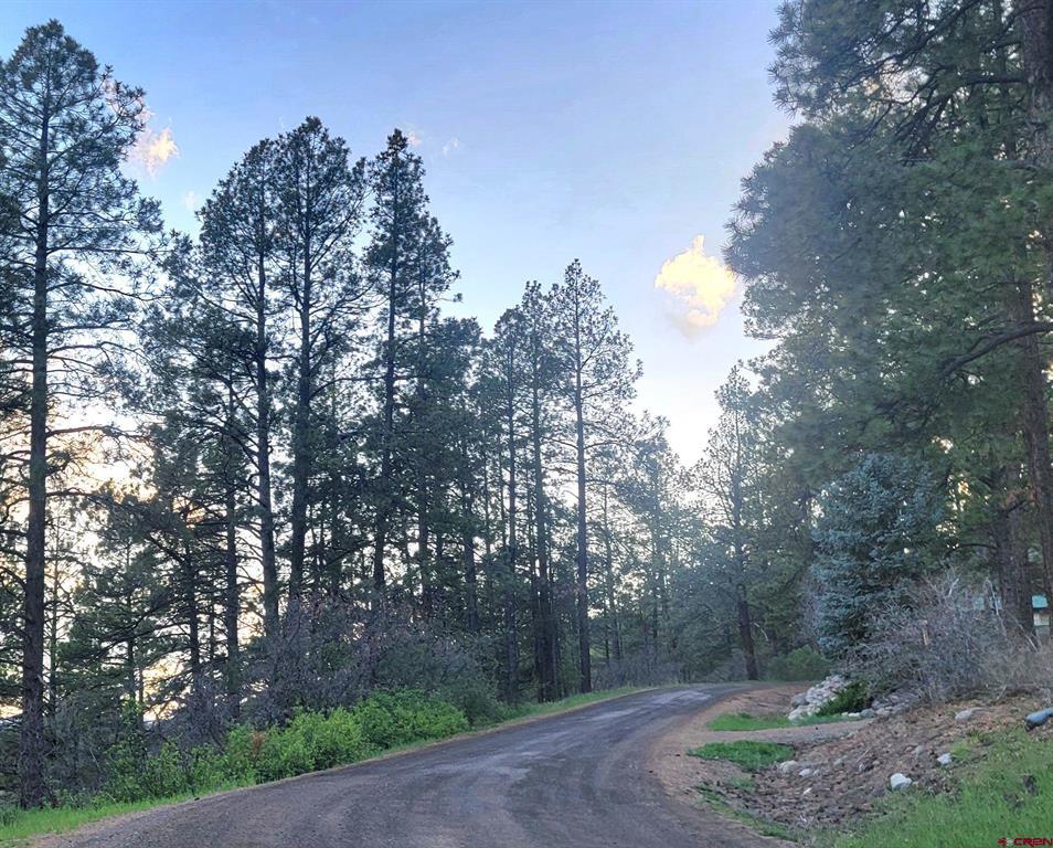 740 Harman Avenue Pagosa Springs CO 81147