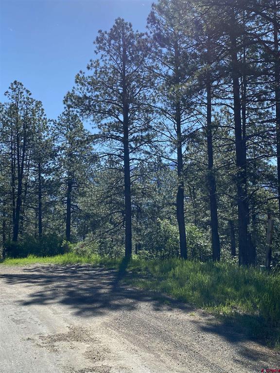 740 Harman Avenue Pagosa Springs CO 81147