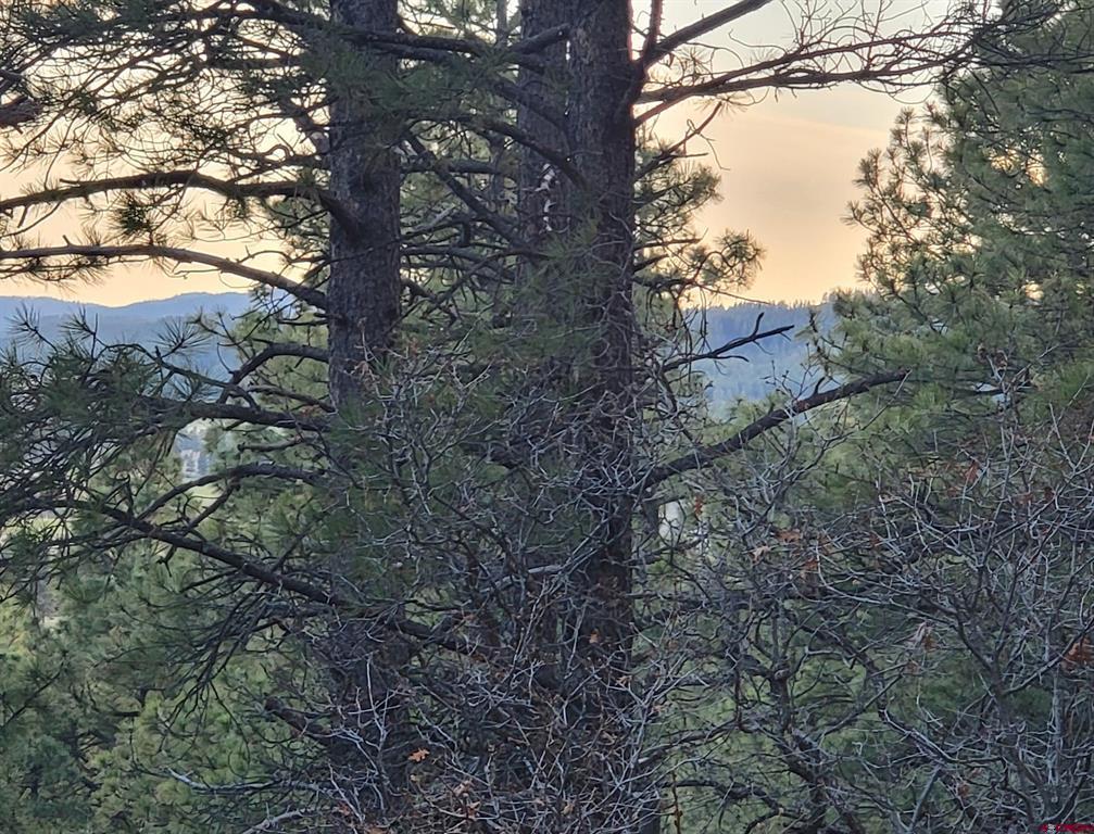740 Harman Avenue Pagosa Springs CO 81147