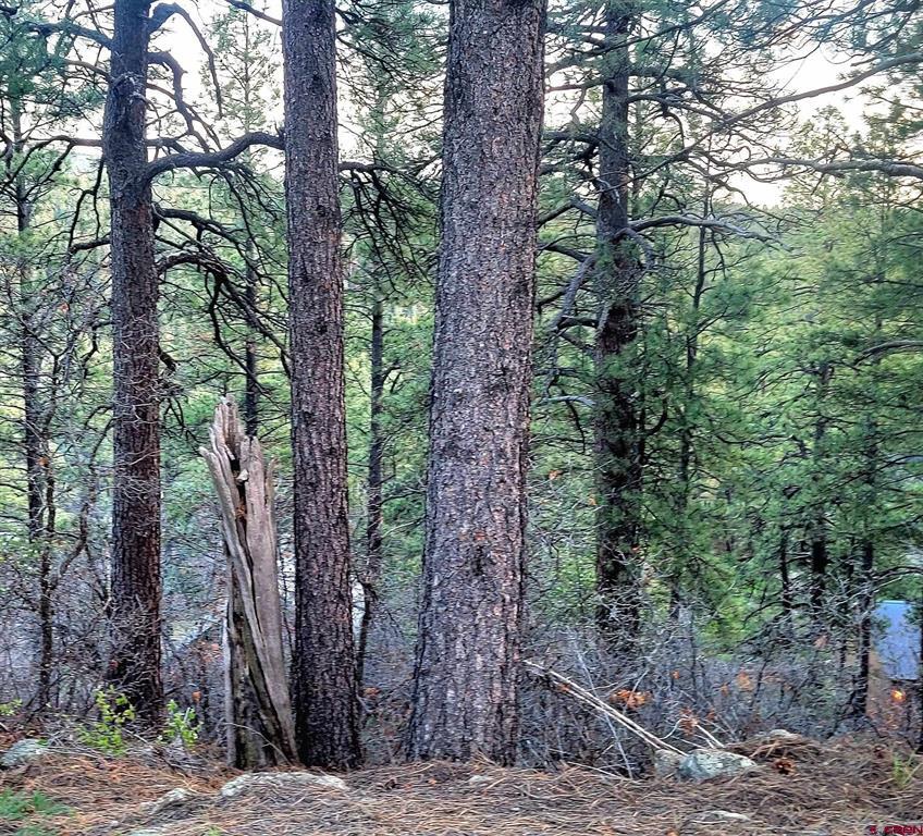 740 Harman Avenue Pagosa Springs CO 81147