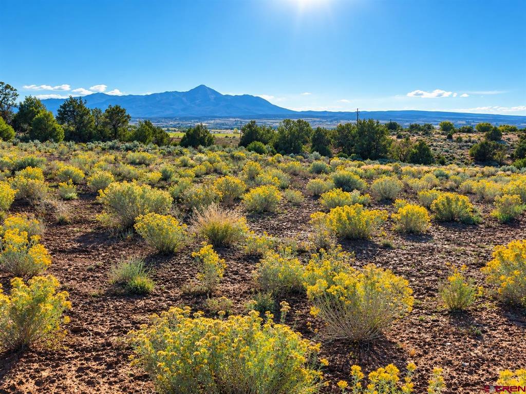 13551 Road 32.75 Mancos CO 81328