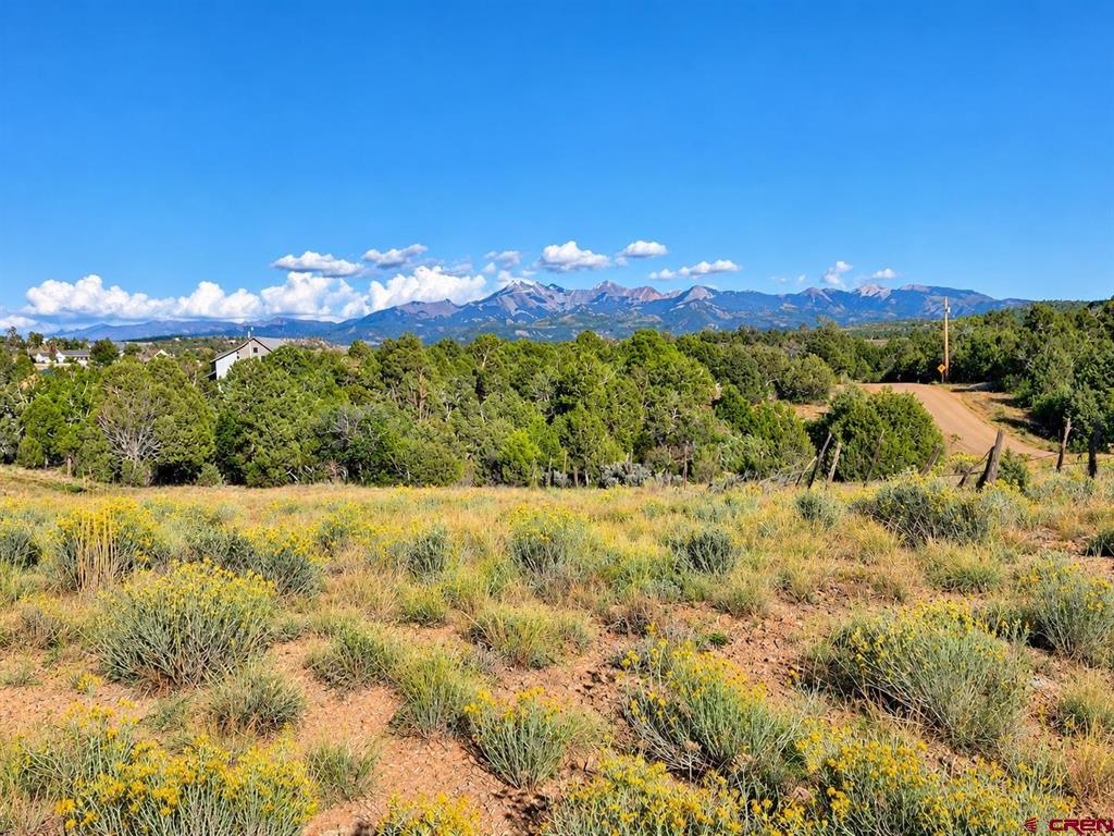 13551 Road 32.75 Mancos CO 81328