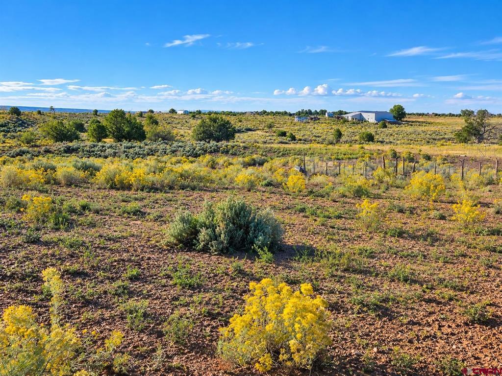 13551 Road 32.75 Mancos CO 81328