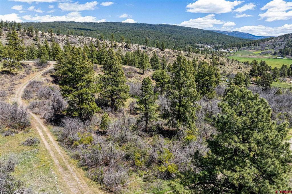 1188 Ludwig Drive Bayfield CO 81122