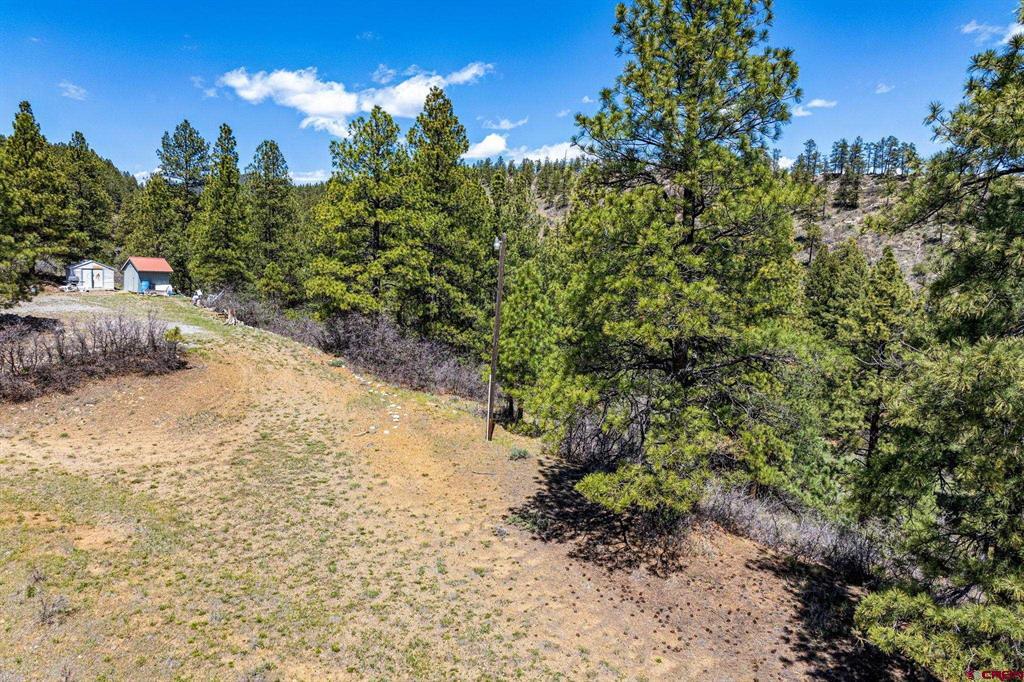 1188 Ludwig Drive Bayfield CO 81122