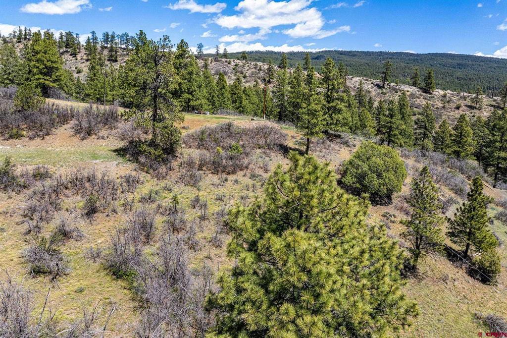 1188 Ludwig Drive Bayfield CO 81122