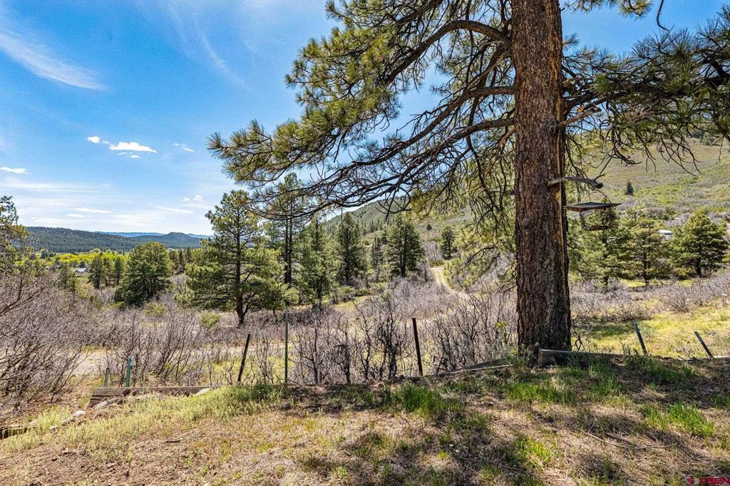 1188 Ludwig Drive Bayfield CO 81122