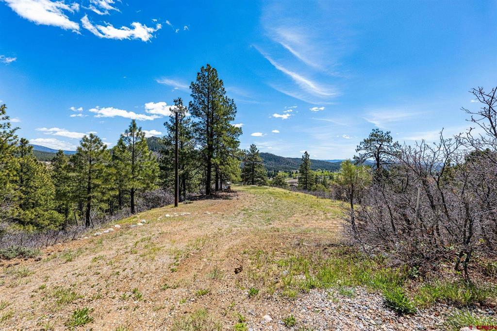 1188 Ludwig Drive Bayfield CO 81122
