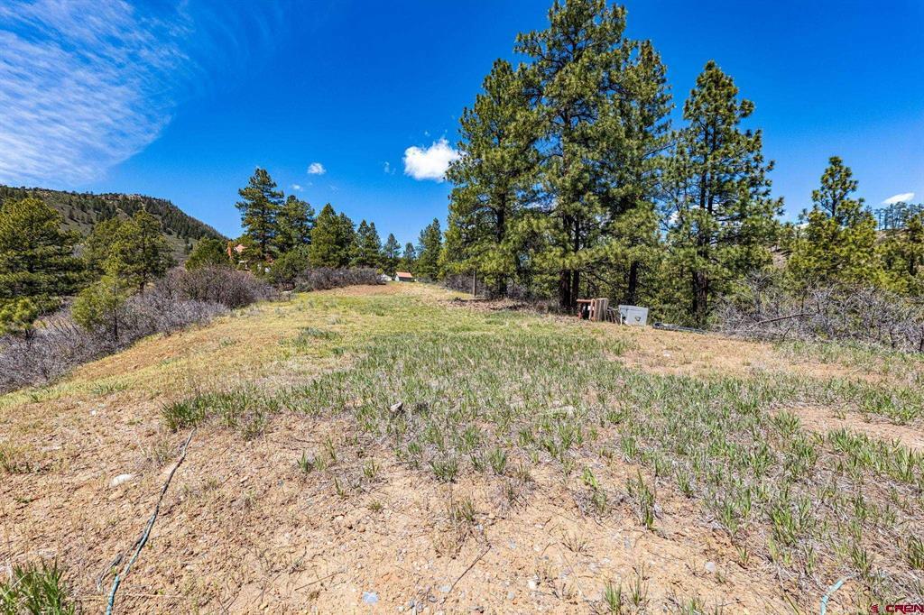 1188 Ludwig Drive Bayfield CO 81122