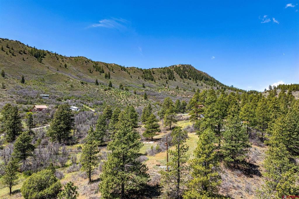 1188 Ludwig Drive Bayfield CO 81122