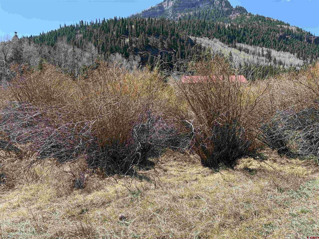 Lot 48 Cottonwood Drive Antonito CO 81120