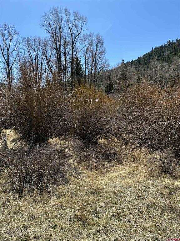Lot 48 Cottonwood Drive Antonito CO 81120