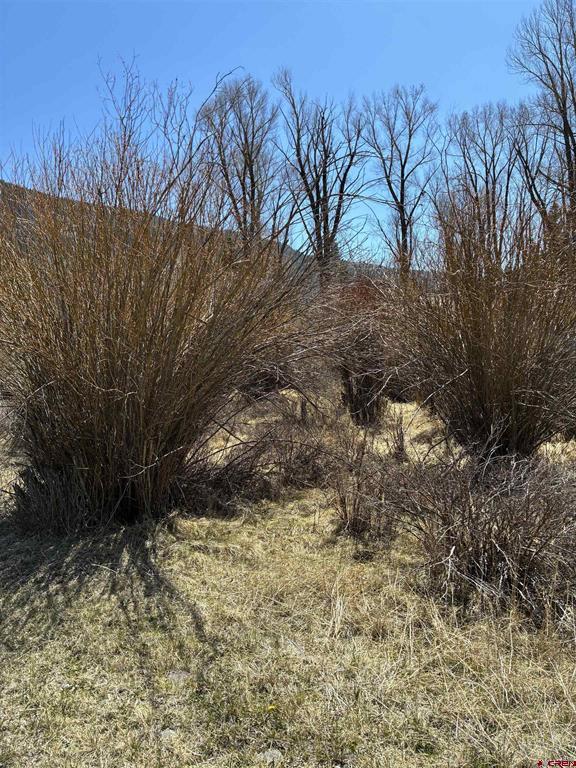 Lot 48 Cottonwood Drive Antonito CO 81120
