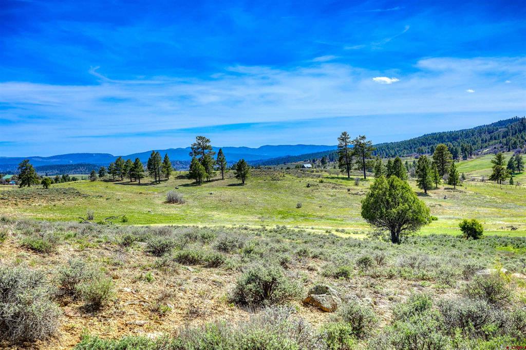 X County Road 359 Pagosa Springs CO 81147