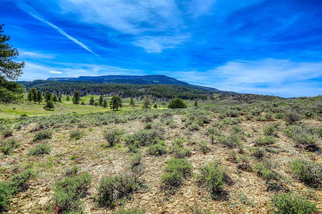 X County Road 359 Pagosa Springs CO 81147