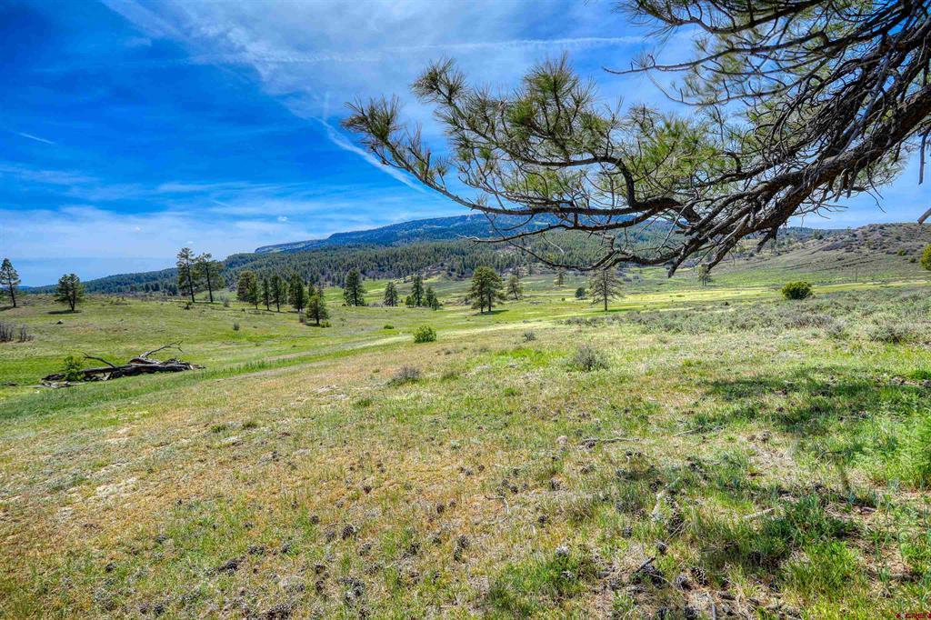 X County Road 359 Pagosa Springs CO 81147