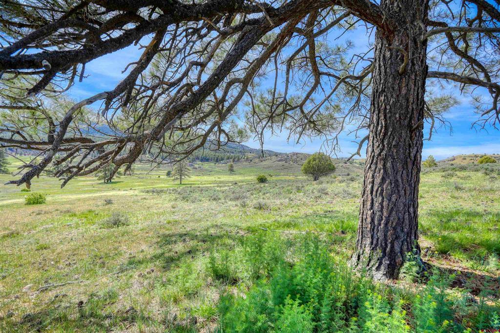 X County Road 359 Pagosa Springs CO 81147