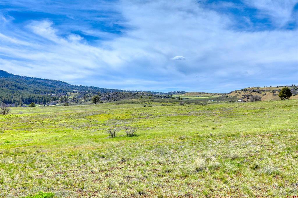 X County Road 359 Pagosa Springs CO 81147