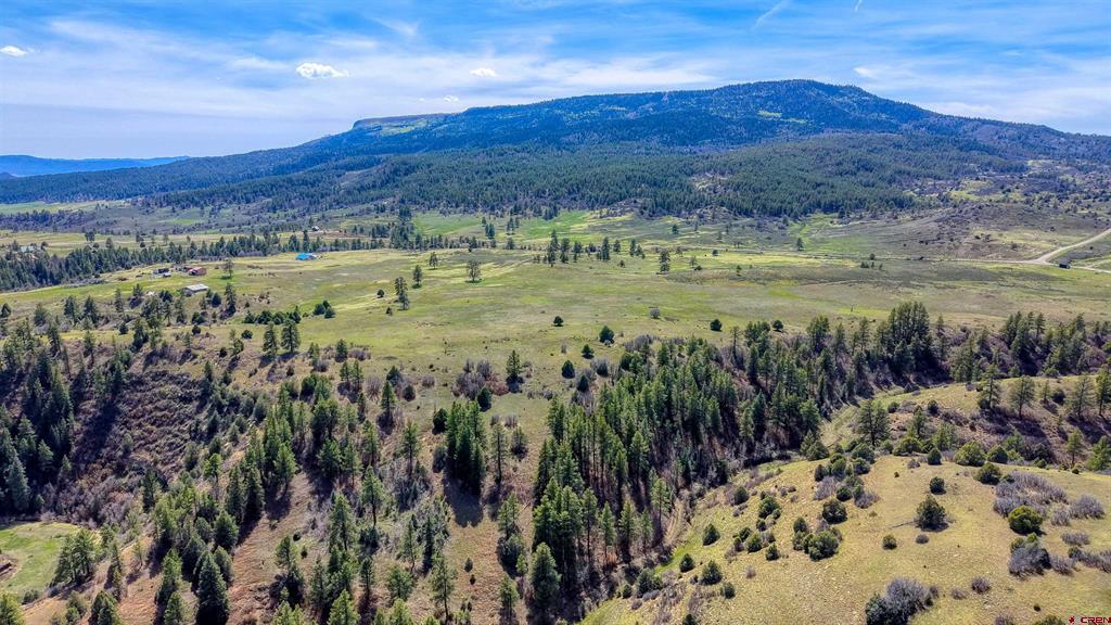 X County Road 359 Pagosa Springs CO 81147