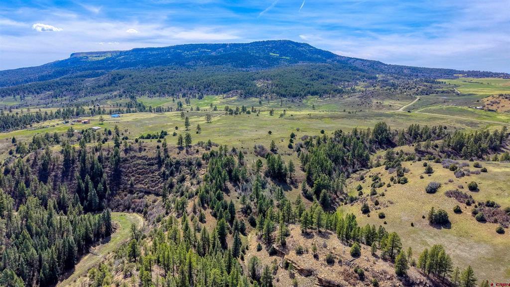 X County Road 359 Pagosa Springs CO 81147
