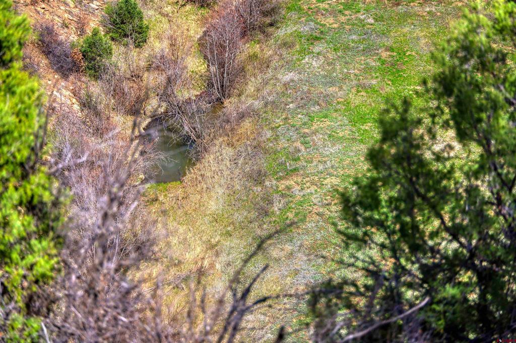 X County Road 359 Pagosa Springs CO 81147