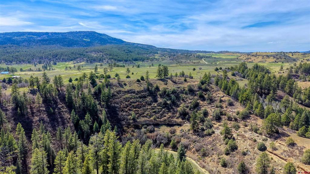 X County Road 359 Pagosa Springs CO 81147