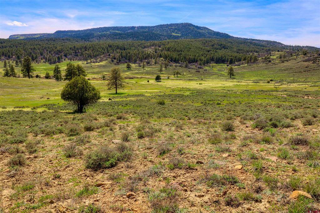 X County Road 359 Pagosa Springs CO 81147