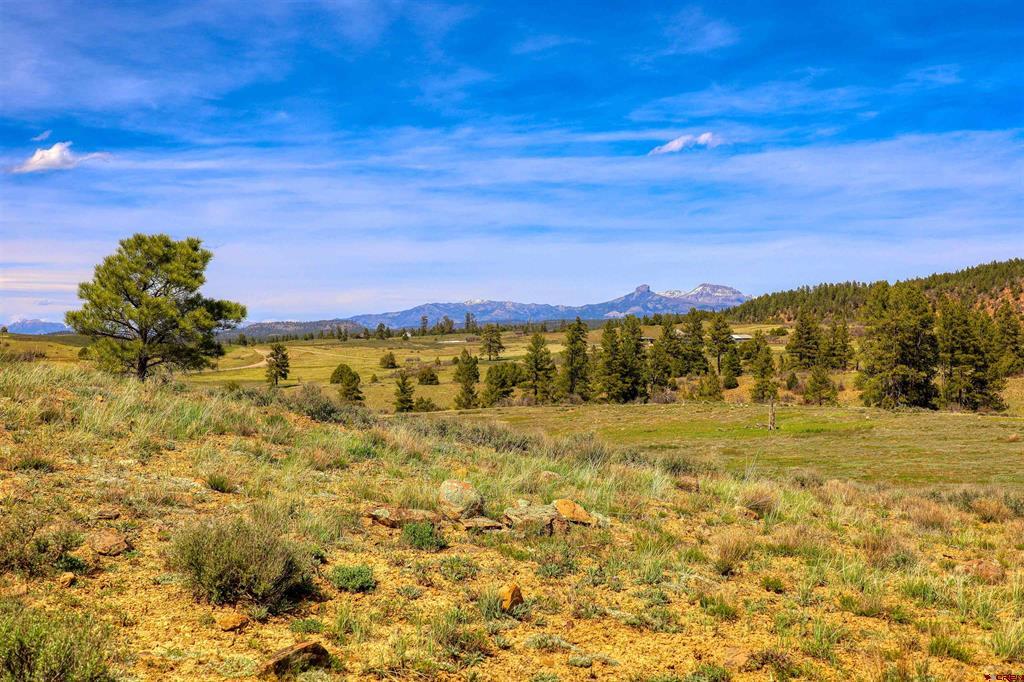 X County Road 359 Pagosa Springs CO 81147