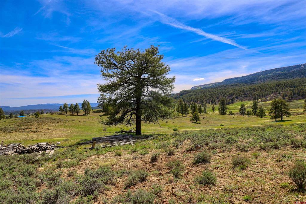 X County Road 359 Pagosa Springs CO 81147