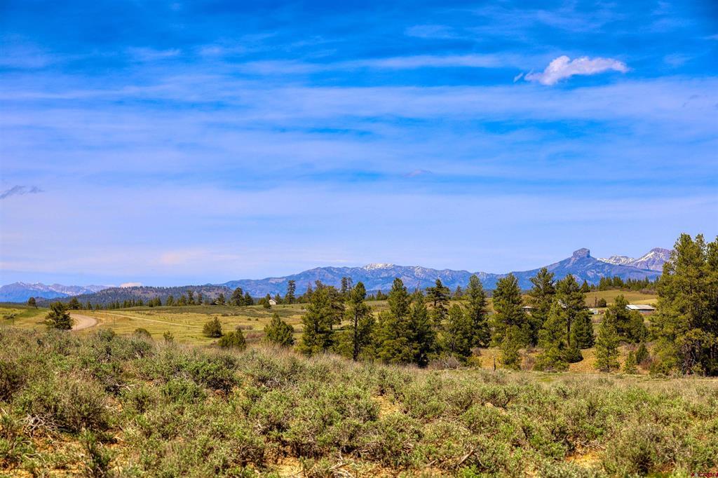 X County Road 359 Pagosa Springs CO 81147