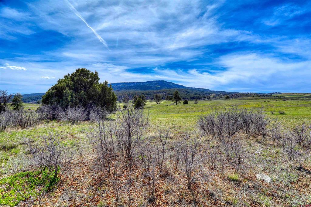 X County Road 359 Pagosa Springs CO 81147