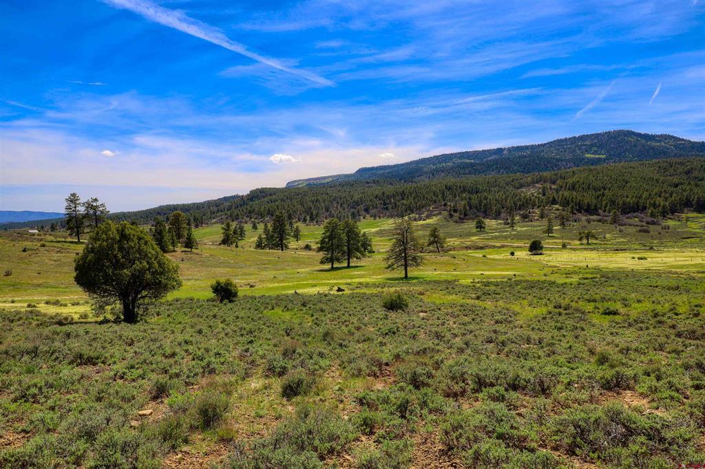 X County Road 359 Pagosa Springs CO 81147