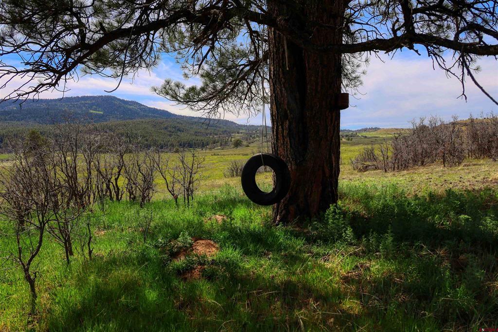 X County Road 359 Pagosa Springs CO 81147
