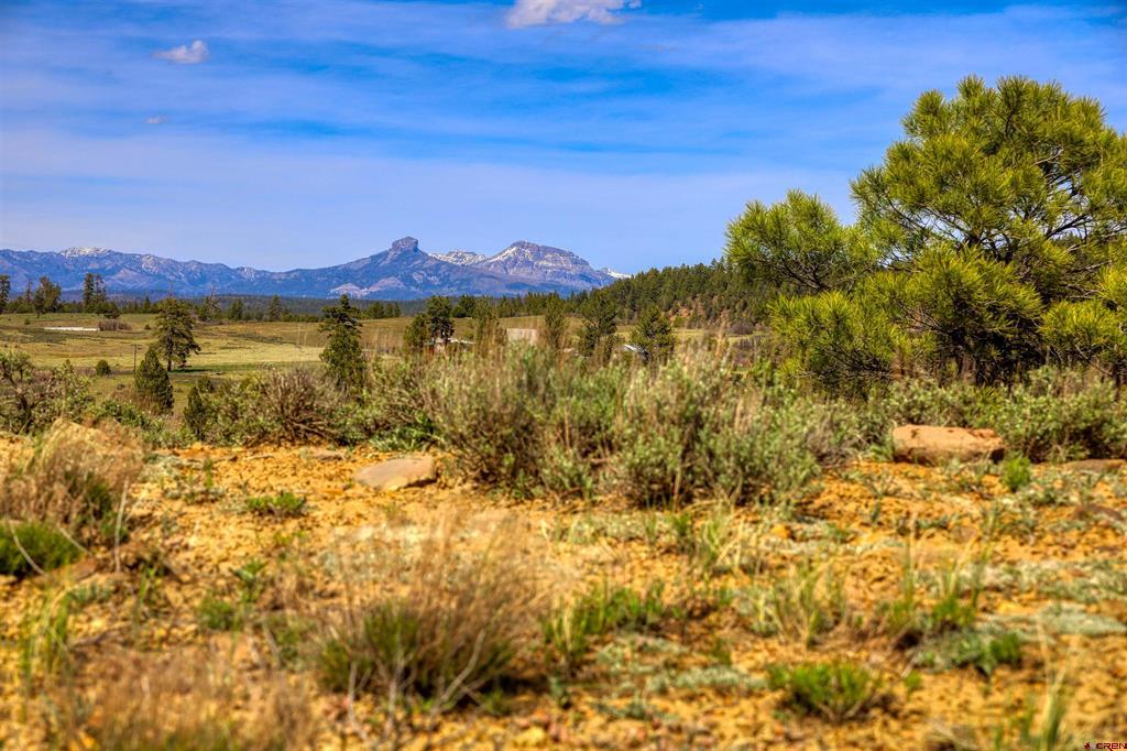 X County Road 359 Pagosa Springs CO 81147