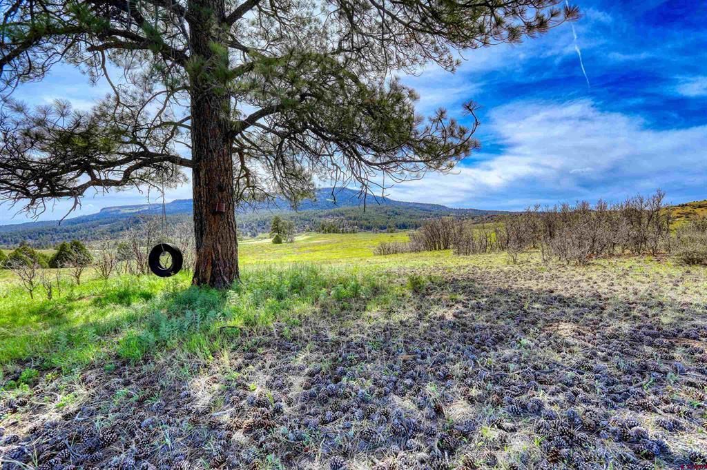 X County Road 359 Pagosa Springs CO 81147