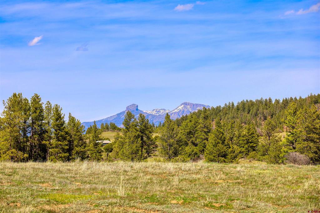 X County Road 359 Pagosa Springs CO 81147